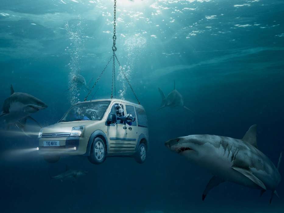 Humor,Auto,Sea,Sharks,Ford