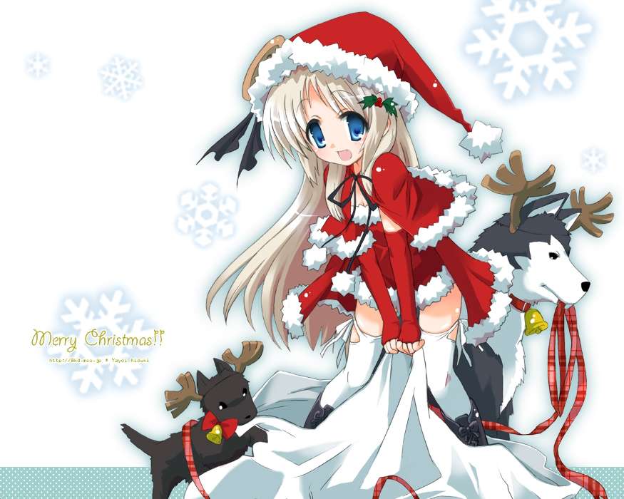 Feiertage,Anime,Mädchen,Neujahr,Weihnachten