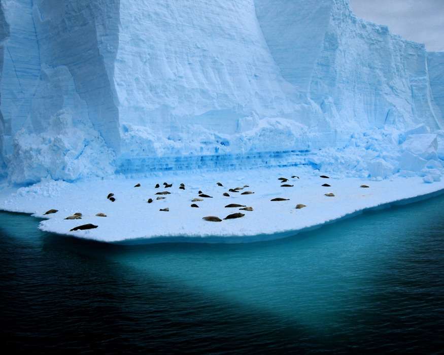 Landschaft,Winterreifen,Antarktis, Arktis