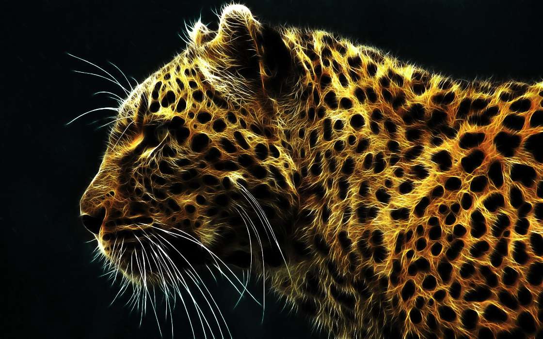 Kunst,Leopards,Tiere