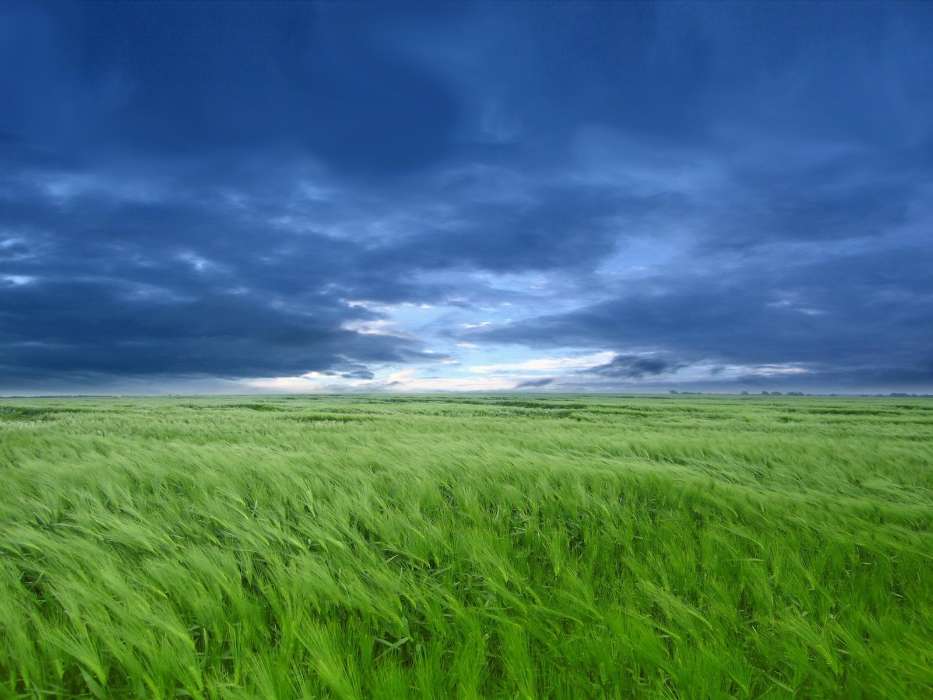 Landschaft,Grass,Sky,Kunst