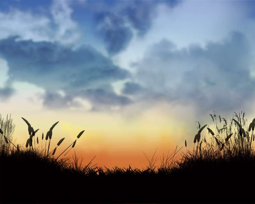 Landschaft,Sunset,Grass,Sky