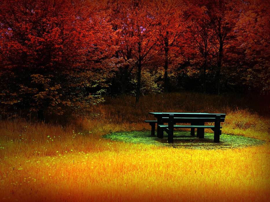 Landschaft,Bäume,Herbst,Fotokunst