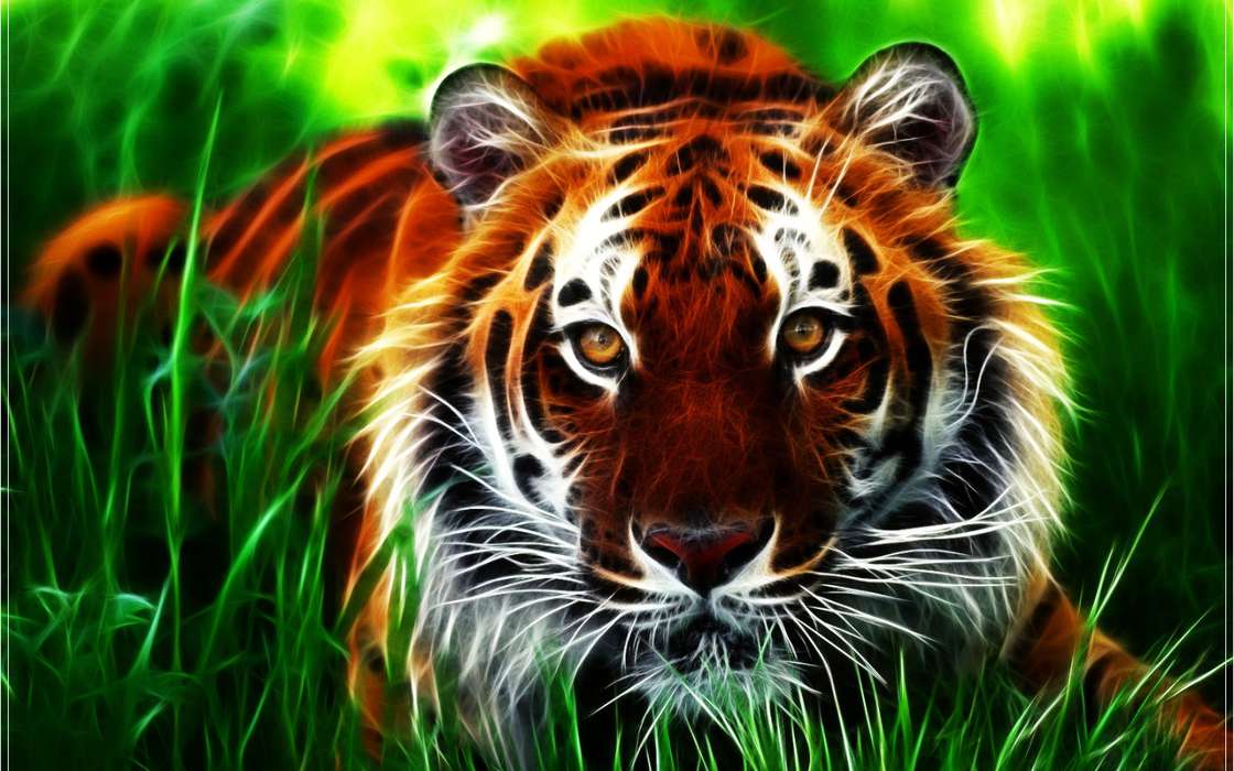 Fotokunst,Tigers,Tiere