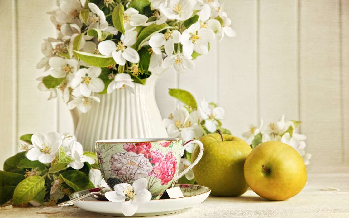 Pflanzen,Blumen,Äpfel,Cups,Bouquets,Still-Leben