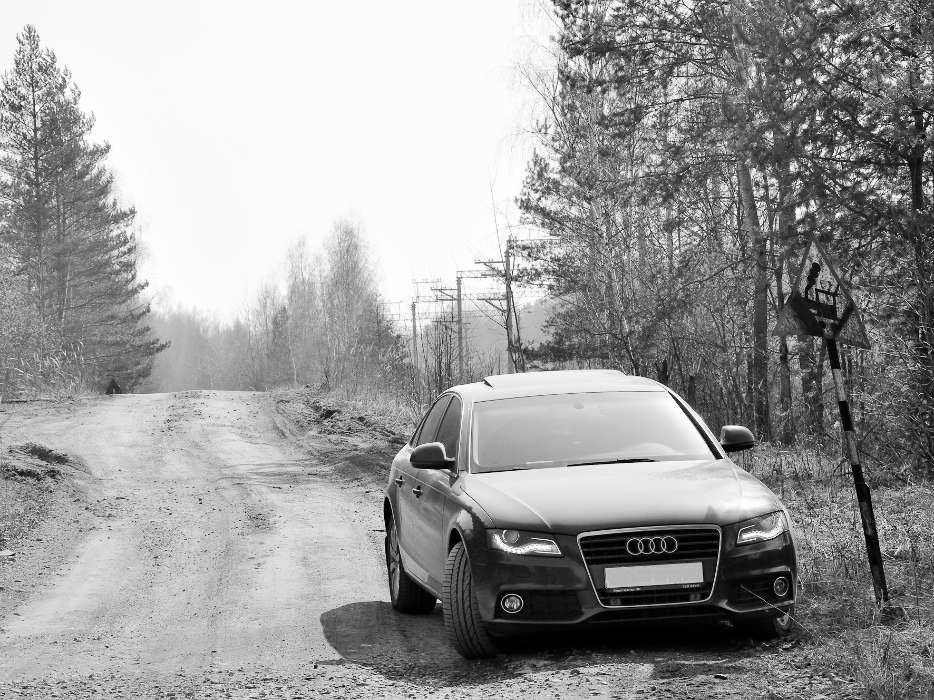 Transport,Auto,Audi