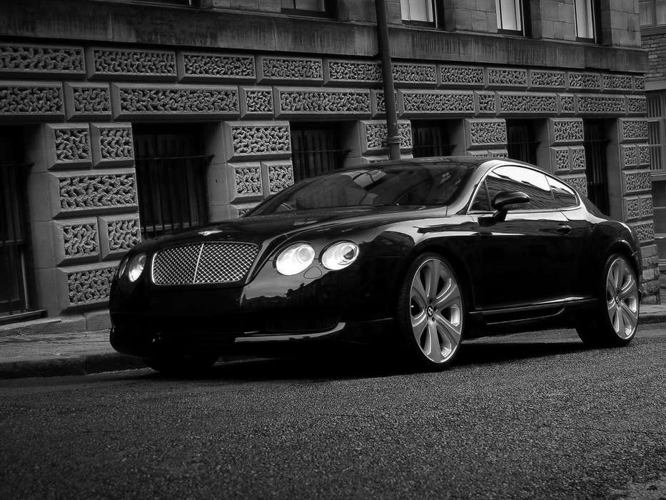Transport,Auto,Bentley