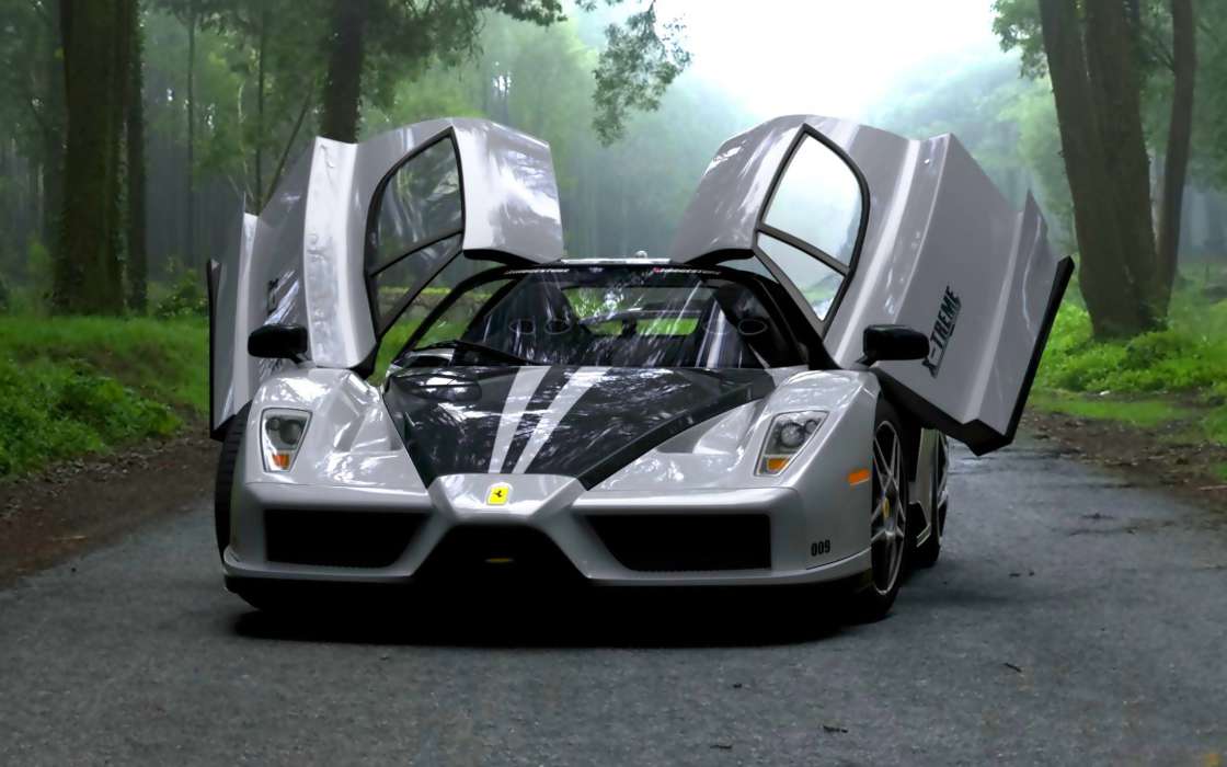 Auto,Ferrari,Transport