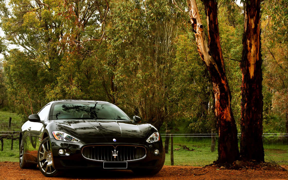 Transport,Auto,Maserati