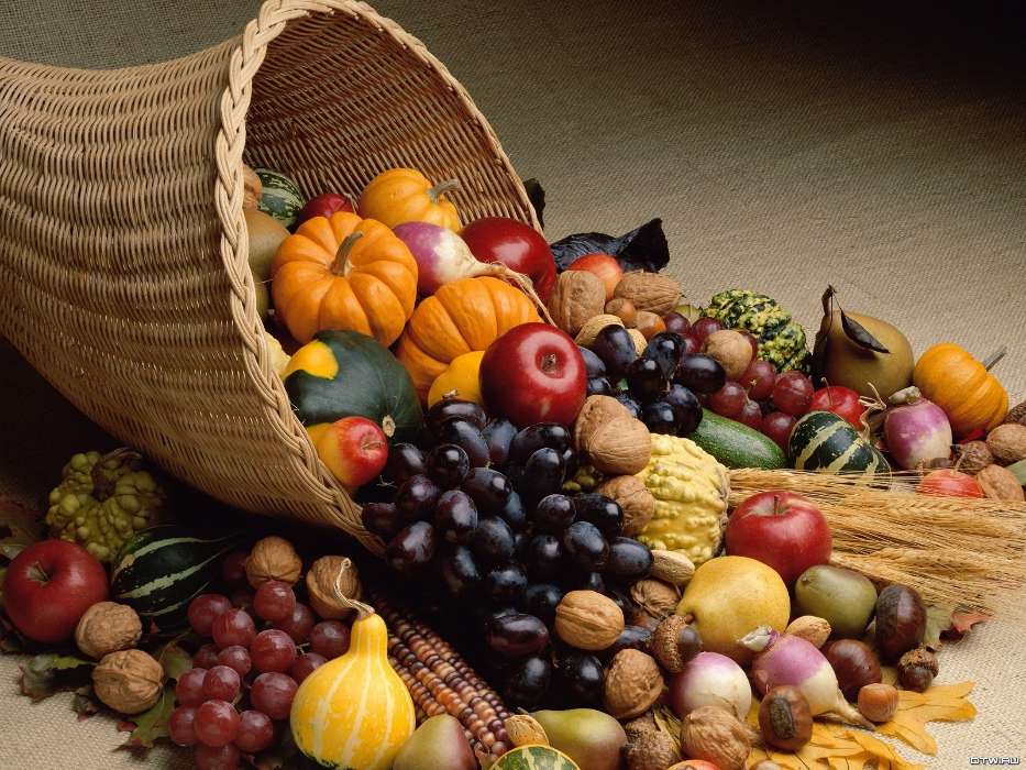 Obst,Lebensmittel,Äpfel,Pears,Trauben,Kürbis
