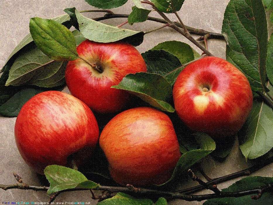 Pflanzen,Obst,Lebensmittel,Äpfel