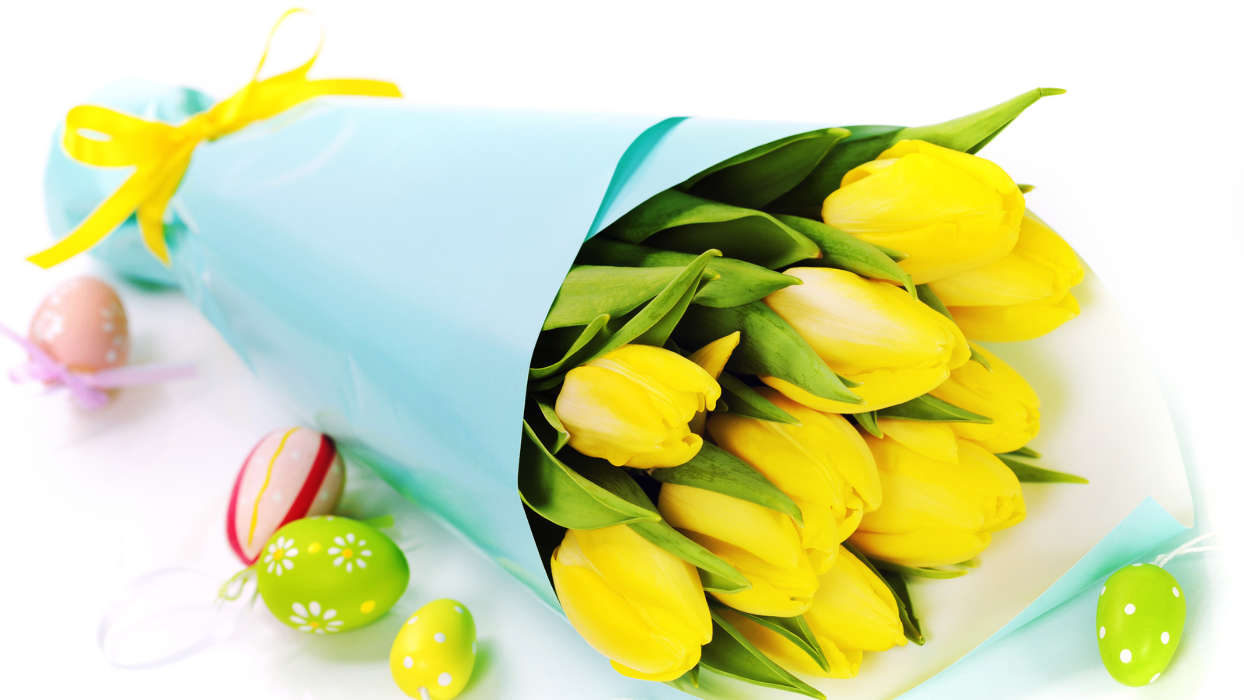 Feiertage,Blumen,Hintergrund,Ostern,Tulpen,Bouquets