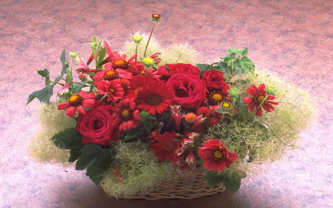 Feiertage,Pflanzen,Blumen,Roses,Chrysantheme,Bouquets