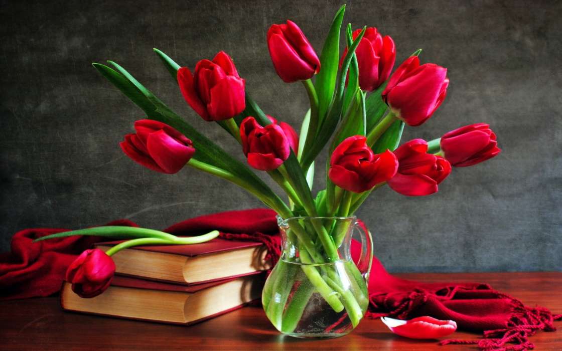 Tulpen,Bouquets,Bücher,Still-Leben,Pflanzen,Blumen