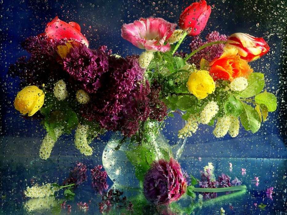 Bouquets,Blumen,Pflanzen