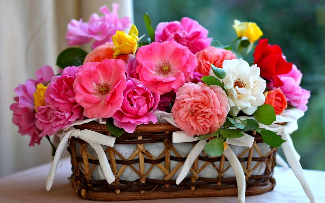 Bouquets,Blumen,Pflanzen