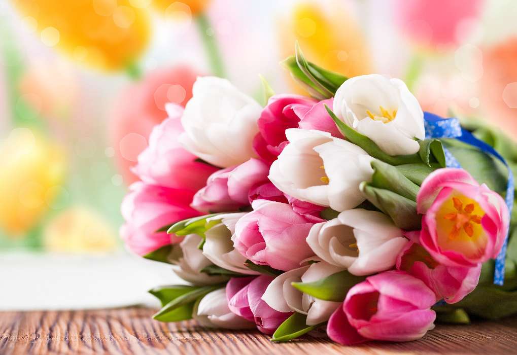 Pflanzen,Blumen,Tulpen,Bouquets