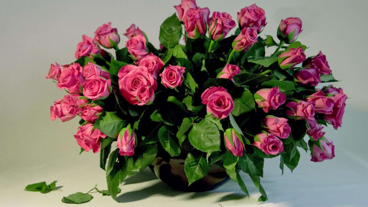 Bouquets,Pflanzen,Roses