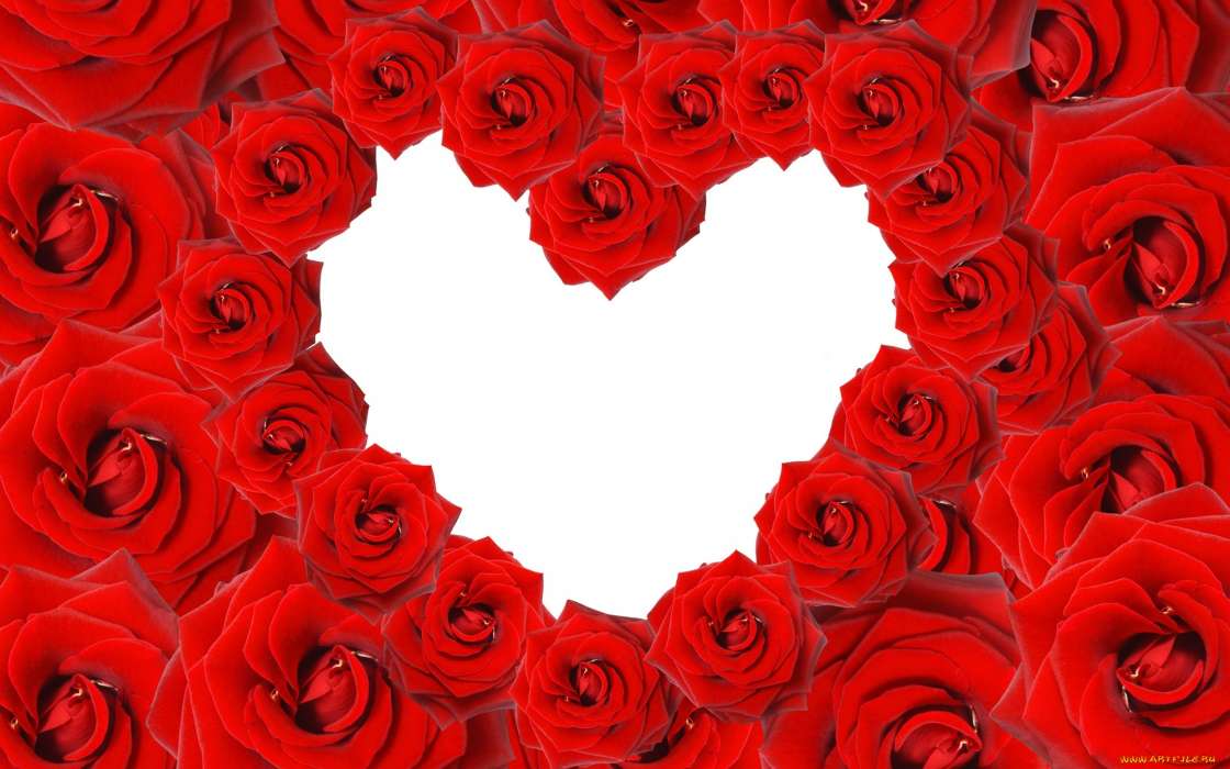 Feiertage,Blumen,Hintergrund,Roses,Herzen,Valentinstag