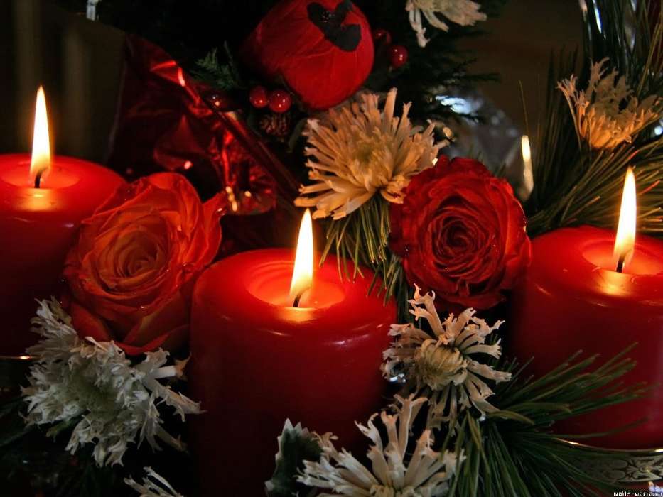 Feiertage,Blumen,Neujahr,Weihnachten,Kerzen