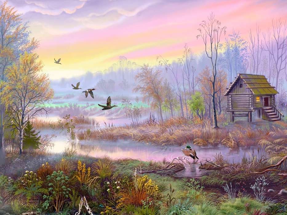 Flüsse,Bäume,Ducks,Bilder,Landschaft,Vögel,Häuser