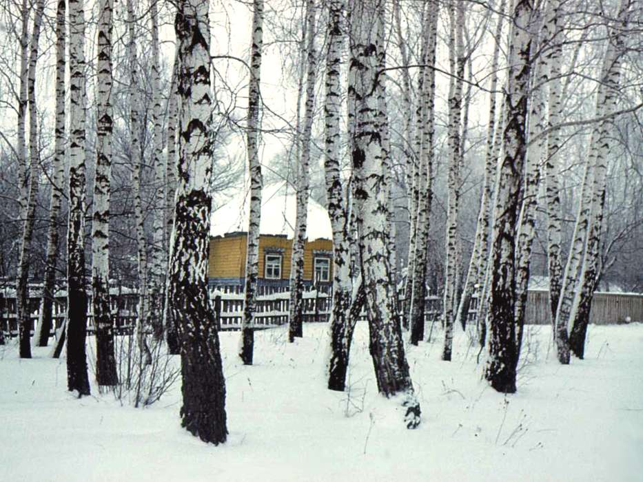 Landschaft,Winterreifen,Häuser,Bäume