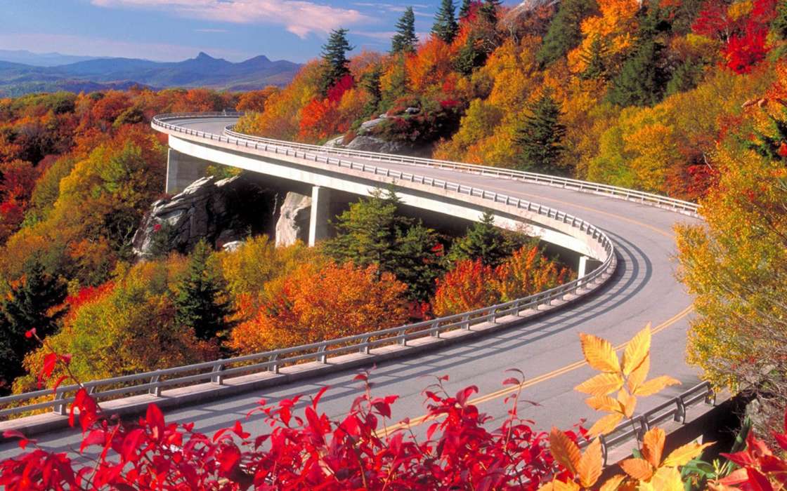 Landschaft,Bridges,Bäume,Roads,Herbst