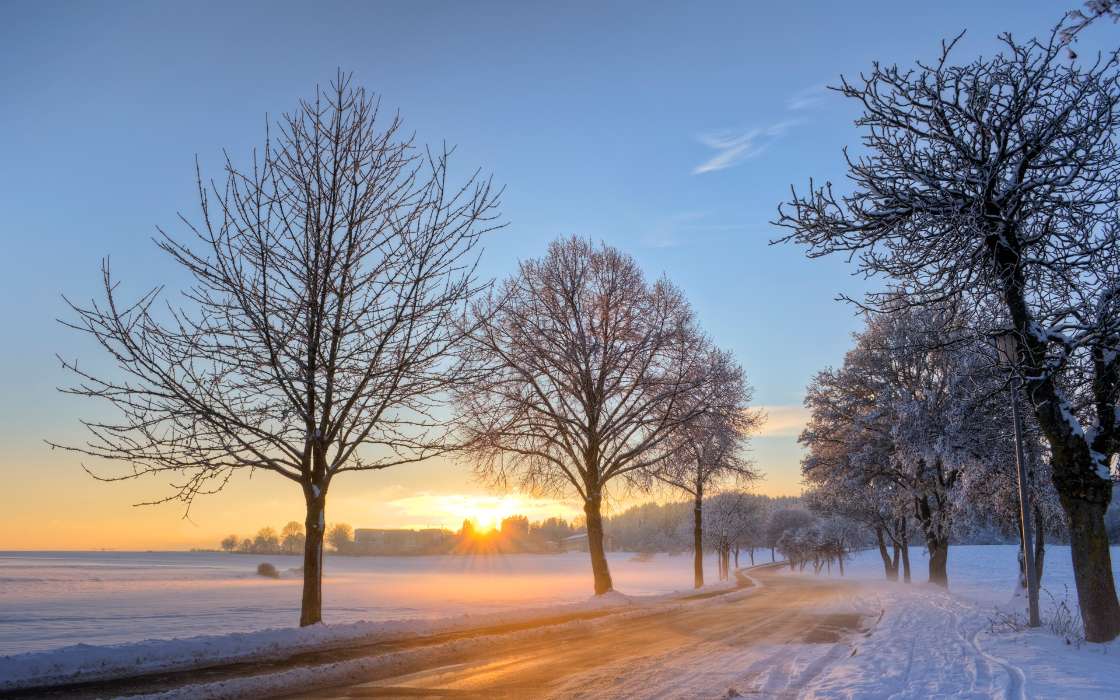 Landschaft,Winterreifen,Bäume,Sunset,Roads,Schnee