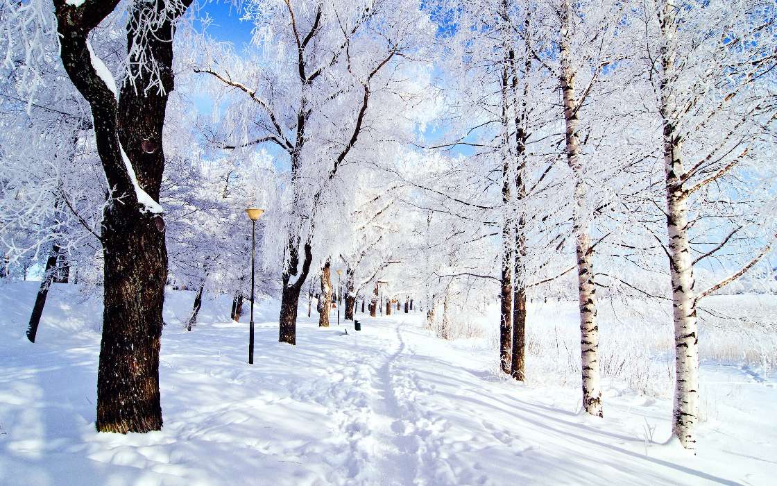 Schnee,Landschaft,Winterreifen,Bäume,Roads