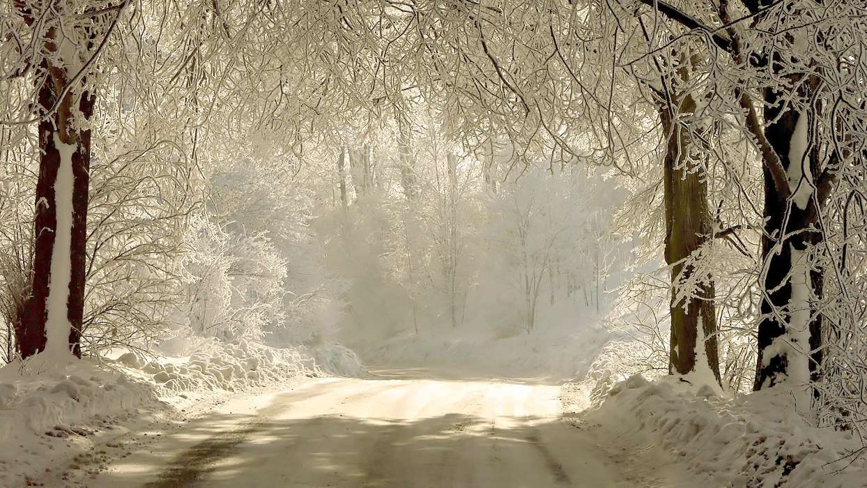 Winterreifen,Bäume,Roads,Schnee,Landschaft