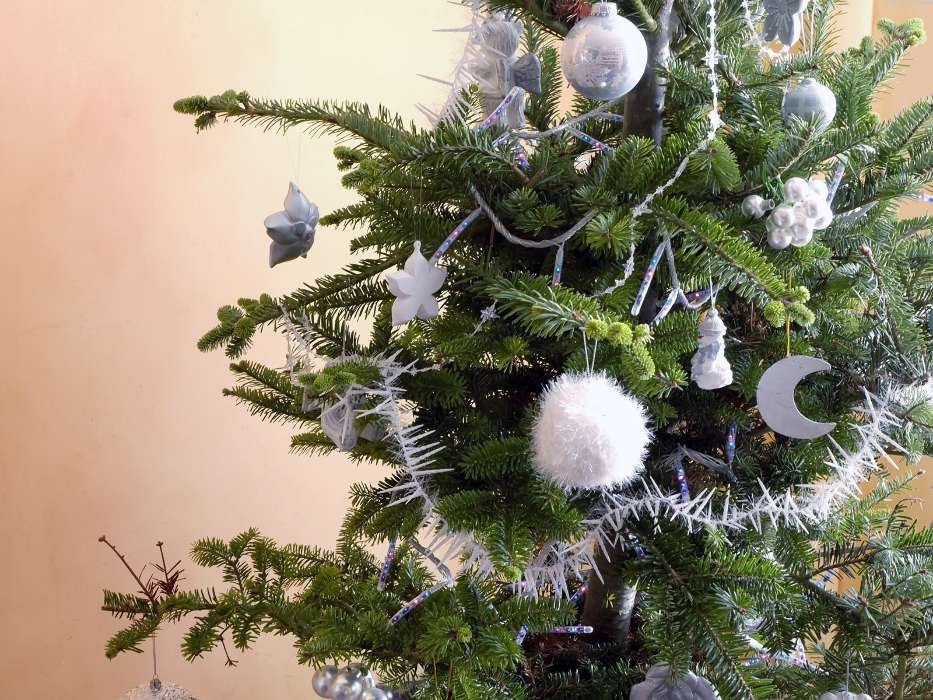 Feiertage,Bäume,Neujahr,Tannenbaum