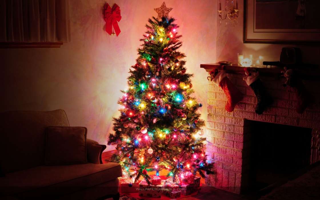 Feiertage,Pflanzen,Bäume,Neujahr,Tannenbaum,Weihnachten