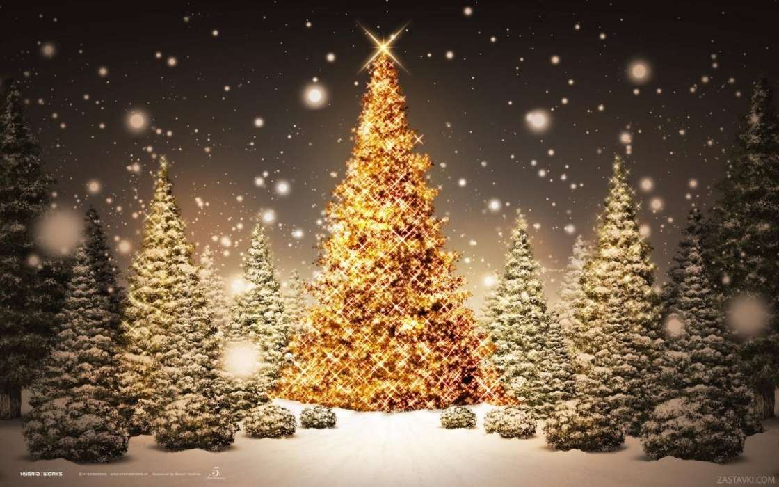 Feiertage,Winterreifen,Bäume,Neujahr,Schnee,Tannenbaum,Weihnachten