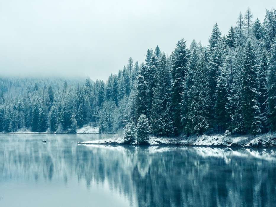 Landschaft,Winterreifen,Flüsse,Bäume,Schnee,Tannenbaum