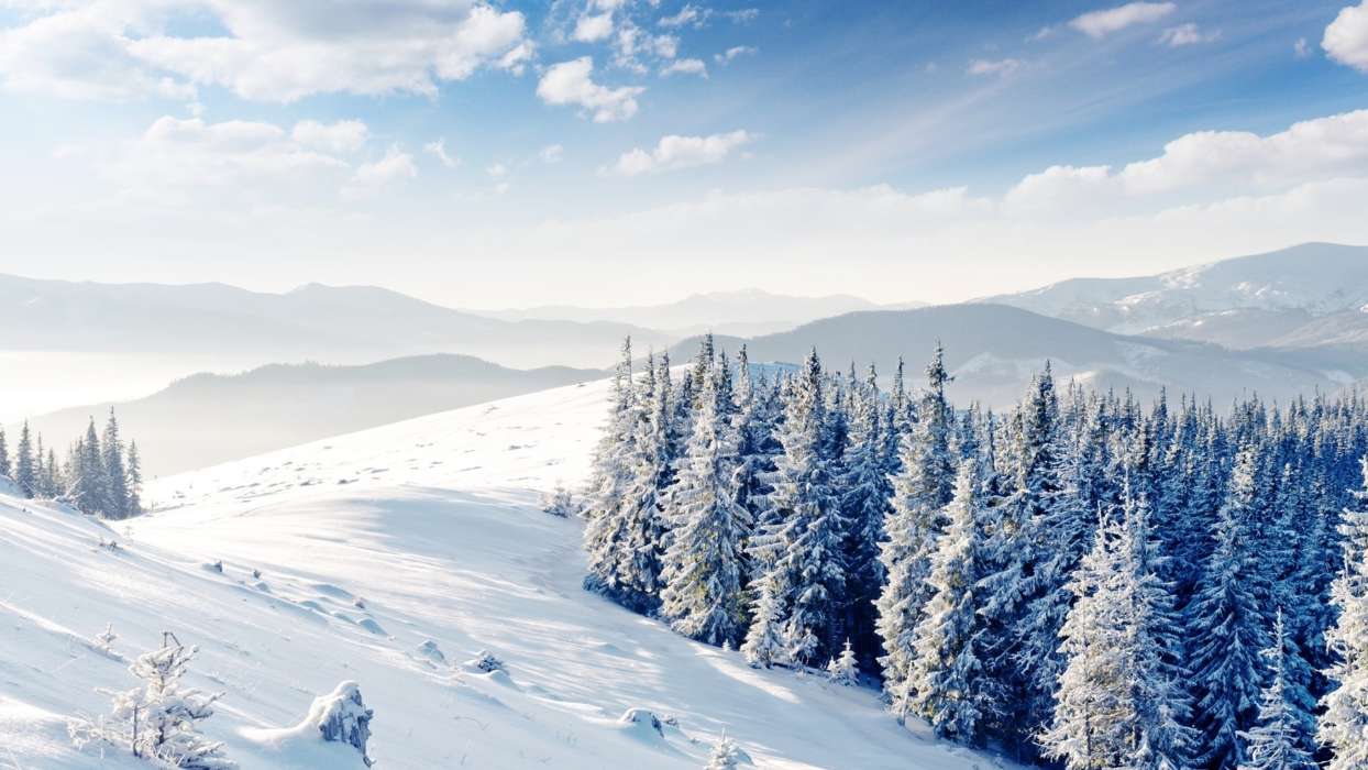 Landschaft,Winterreifen,Bäume,Mountains,Schnee