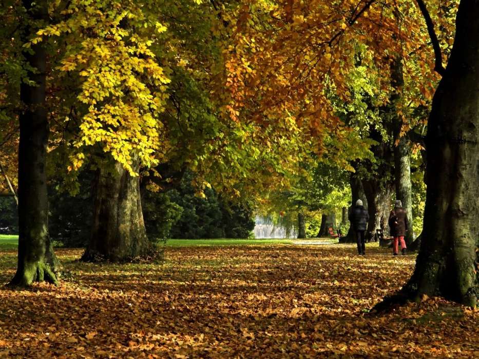 Landschaft,Bäume,Herbst,Blätter,Parks