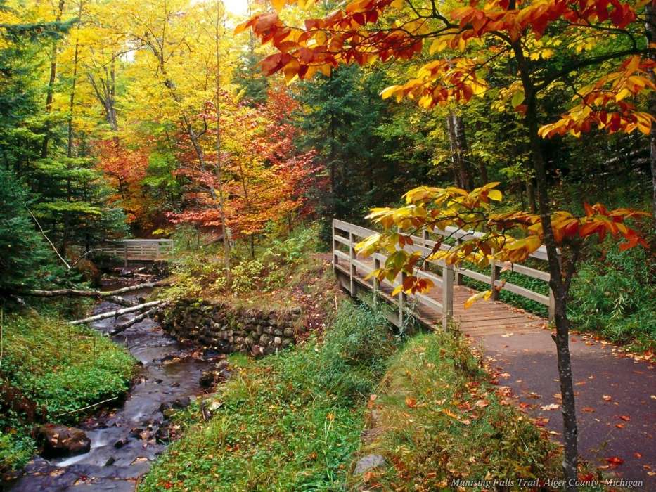 Pflanzen,Landschaft,Flüsse,Bridges,Bäume,Herbst