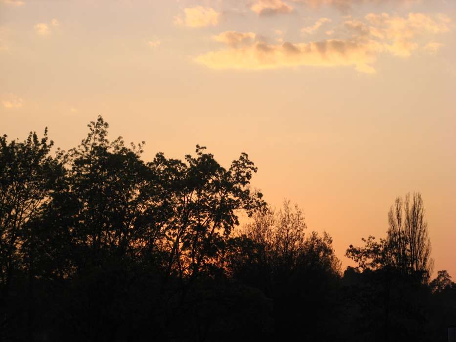 Landschaft,Bäume,Sunset,Sky