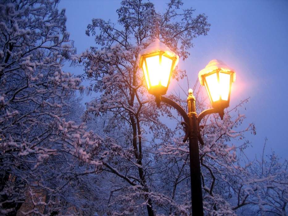 Bäume,Übernachtung,Schnee,Landschaft