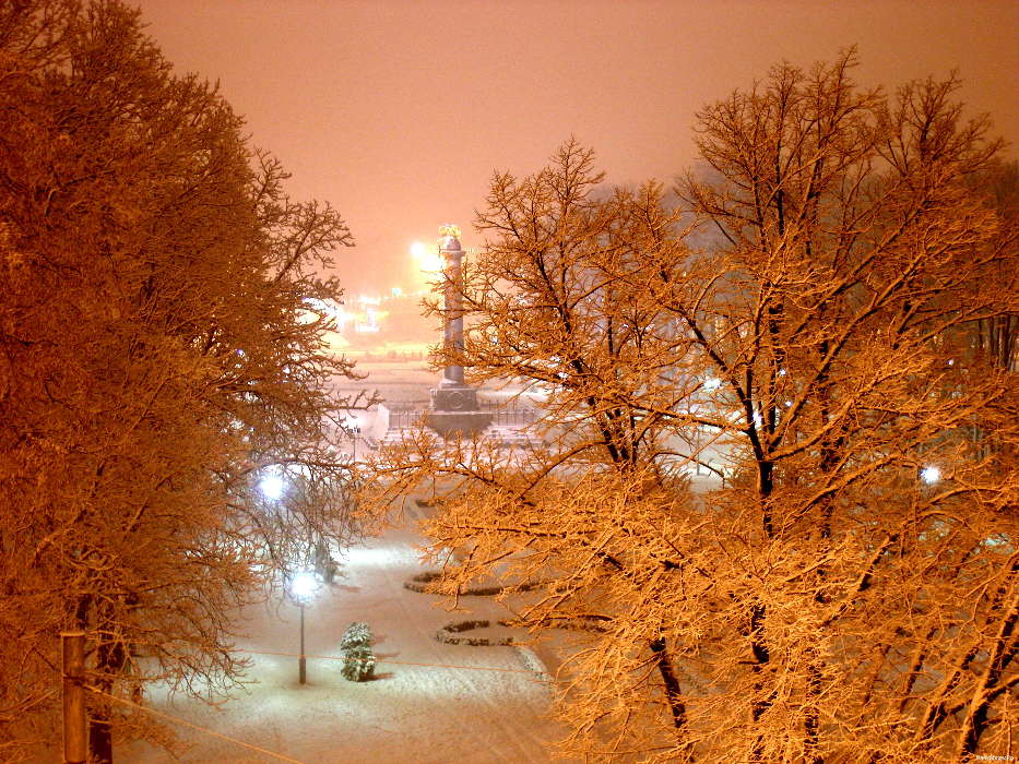 Landschaft,Winterreifen,Bäume,Übernachtung,Schnee