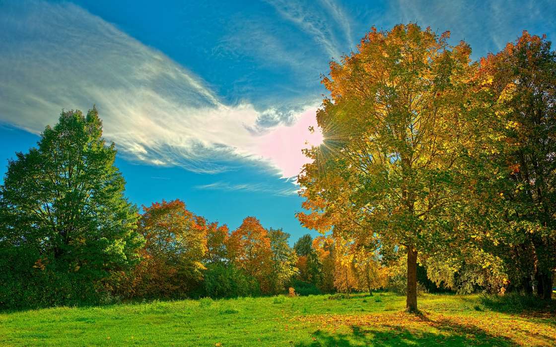 Landschaft,Bäume,Herbst,Sun,Clouds