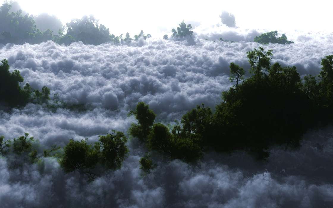 Bäume,Clouds,Landschaft