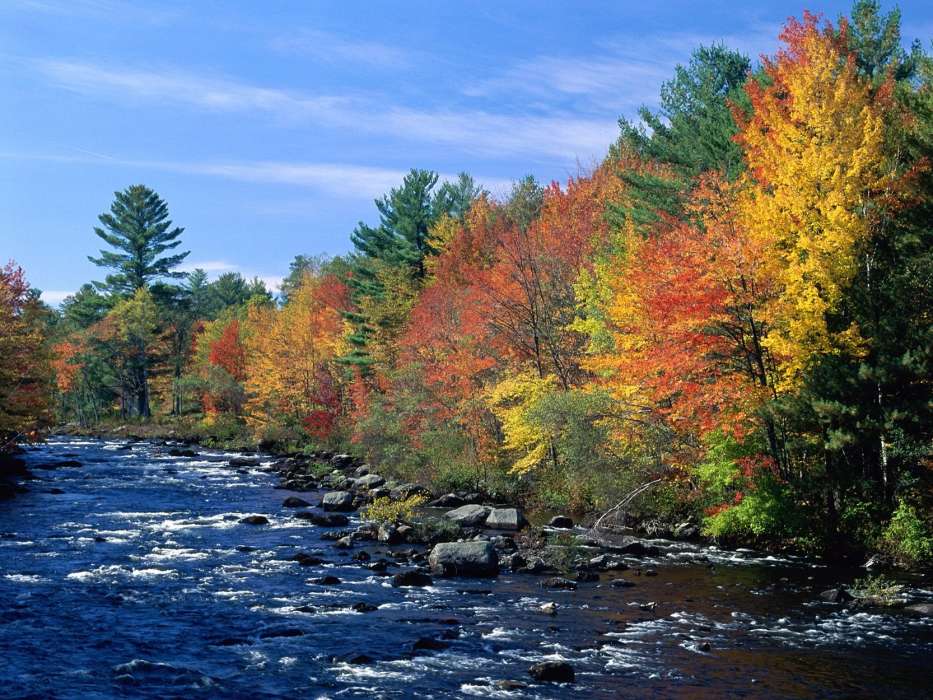 Landschaft,Flüsse,Bäume,Herbst