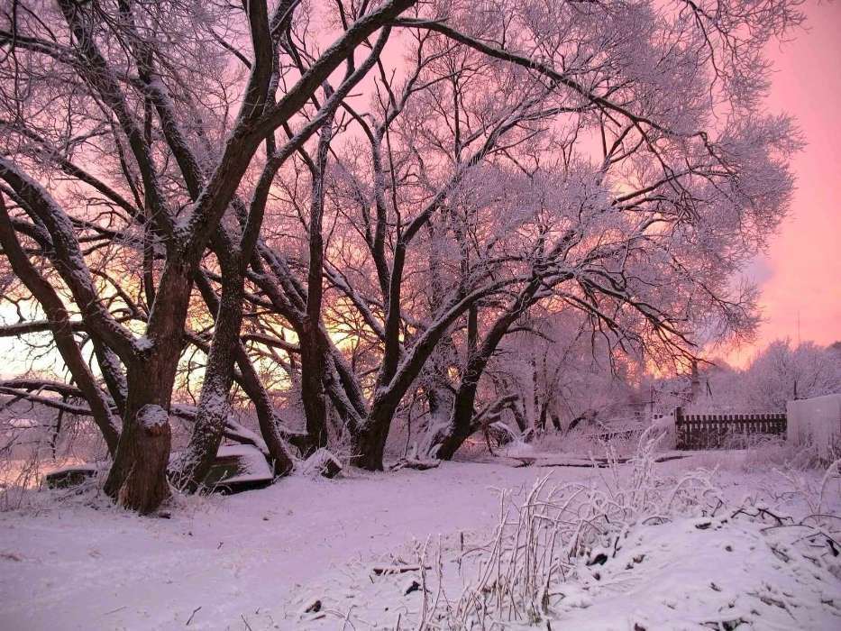 Landschaft,Winterreifen,Bäume,Schnee,Morgendämmerung
