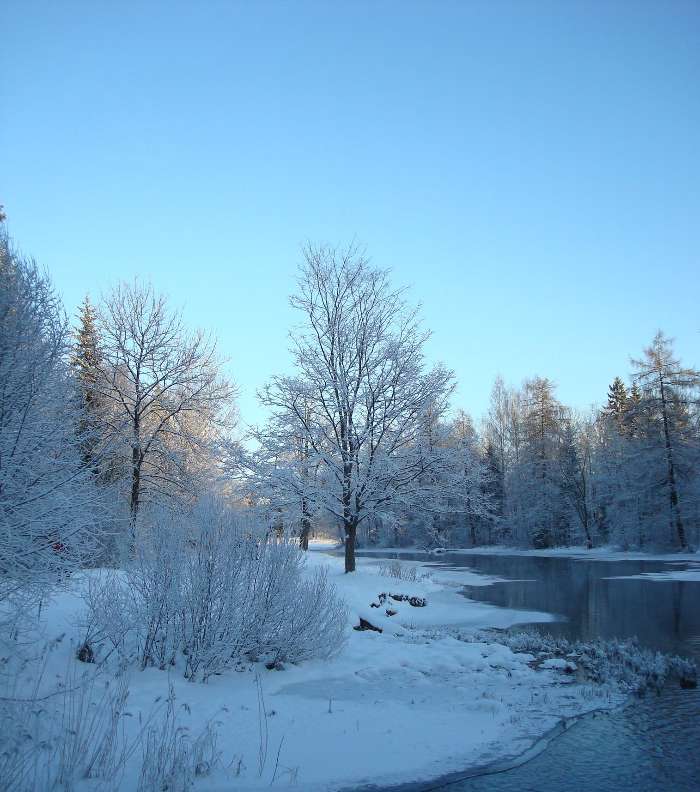 Landschaft,Winterreifen,Flüsse,Bäume,Schnee