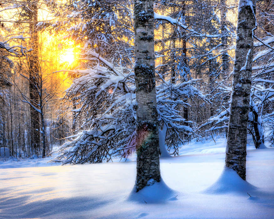 Landschaft,Winterreifen,Bäume,Sun,Schnee