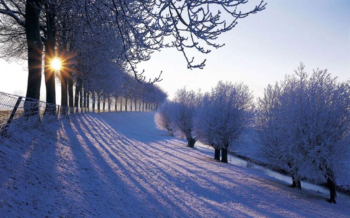 Landschaft,Winterreifen,Bäume,Sun,Schnee