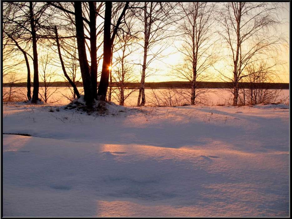 Landschaft,Winterreifen,Bäume,Sunset