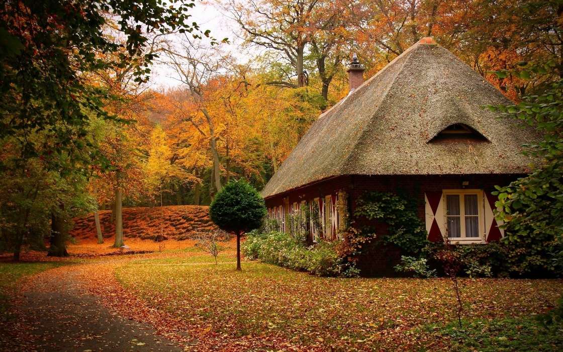 Häuser,Herbst,Landschaft