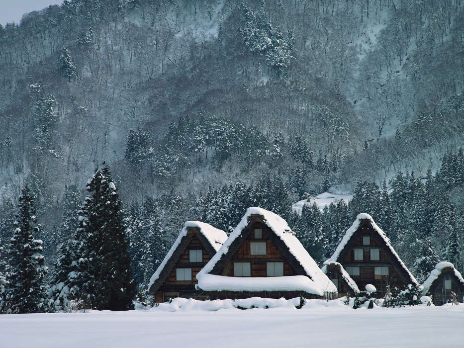 Landschaft,Winterreifen,Häuser